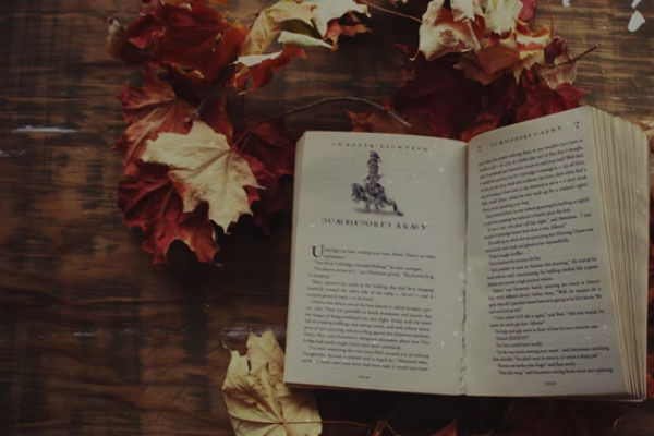 �˲�������ѵ����ô��