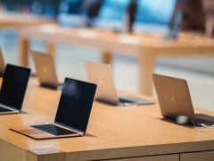 ʯ��ׯ������������ѵһ�����Ǯ/