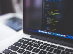 �人��ɽ��������ѵһ�����Ǯ/