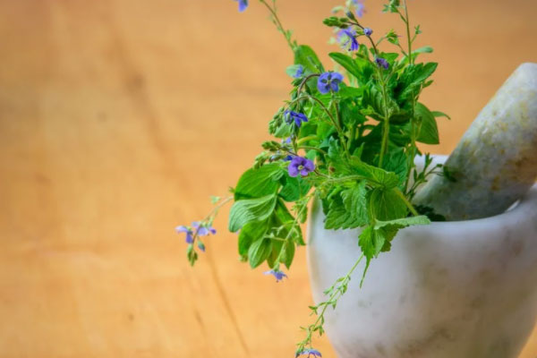 ������������Ӫ��ʦȥ���ﱨ��