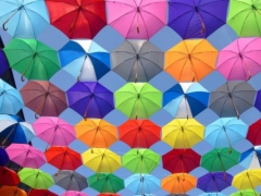 ʯ��ׯ������ѧ�н����а�/