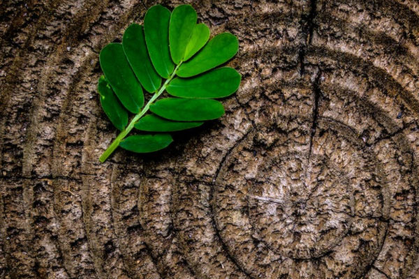 ����������ѧ�н����а�