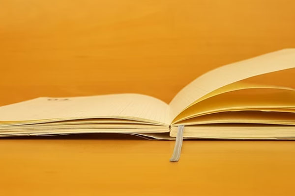 ����������ѧ�н����а�