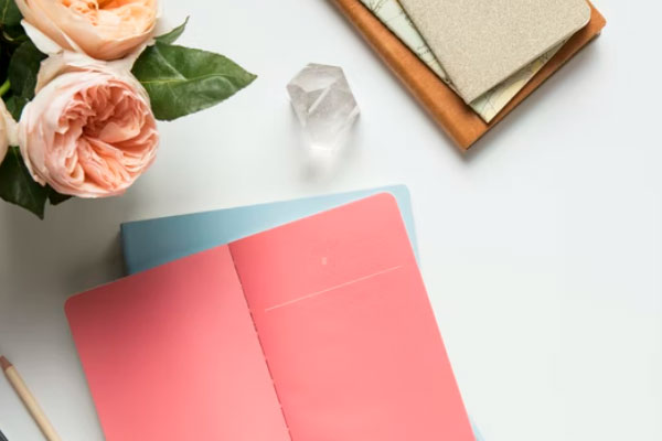 ���ϵ�����ѵ���ļҺ�