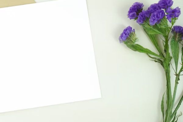 �Ͼ�������ѵ���ļҺ�