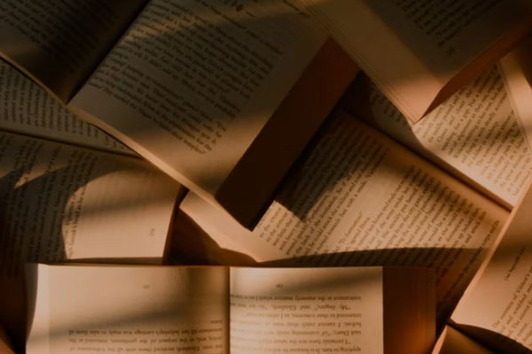 �ɶ�������ѵ���ļҺ�