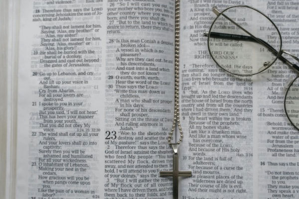 ���ϵ����������ѵ�����Ǯ