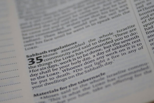 �ൺ�����������ѵ�����Ǯ