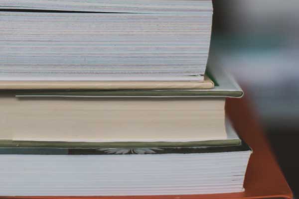  ����������ѵ�ĸ������ȽϺ�