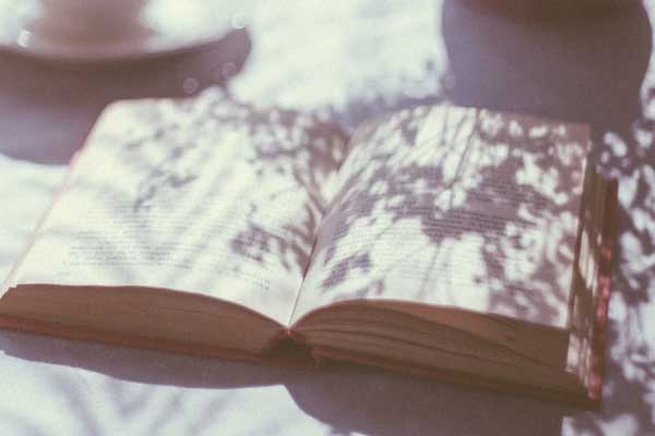 ����������ѵ�ĸ������ȽϺ�