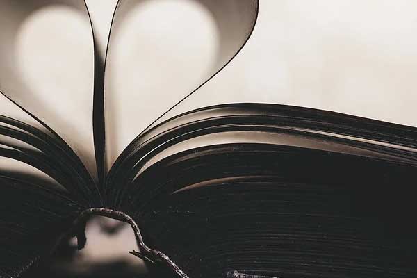 ����������ѵ������