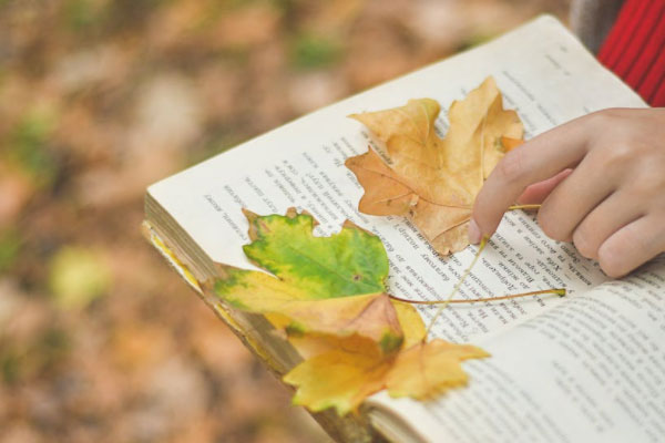 ����������ѧ��ѵ��������