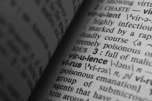 ���ڱ�����������Ӣ����ѵ�����ļҺ�_�������а�