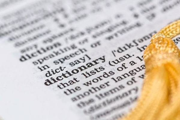 ������ɽ��������Ӣ����ѵ�����ļҺ�_�������а�