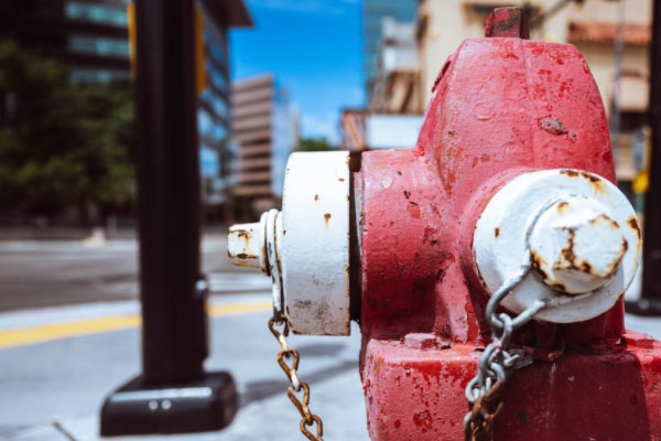 ��������ά��֤��ѵ��������