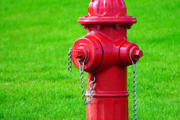 �ĳ�����ά��֤��ѵ��������