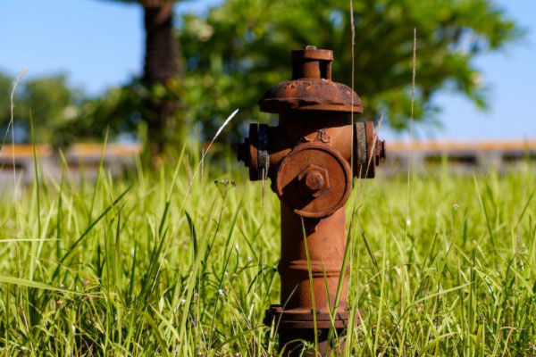 ��������ά��֤��ѵ��������