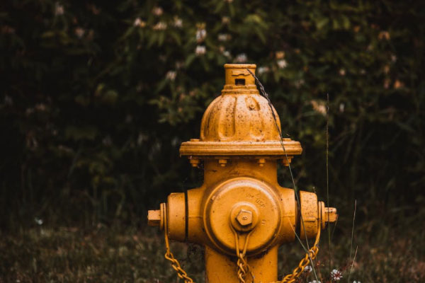 ��������ά��֤��ѵ��������