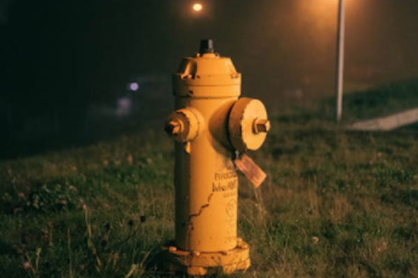  ��������ά��֤��ѵ��������