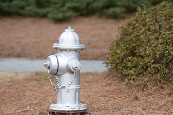 ������ά��֤��ѵ��������