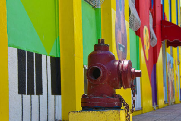 ��������ά��֤��ѵ��������