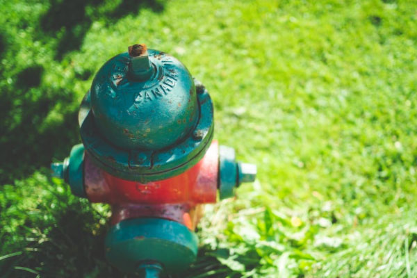 ���Ƹ�����ά��֤��ѵ��������