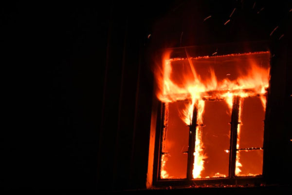 ��Ǩ����ά��֤��ѵ��������