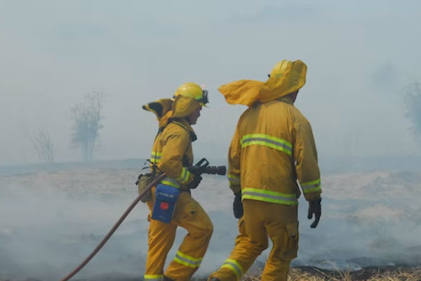 ��ɽ����ά��֤��ѵ��������