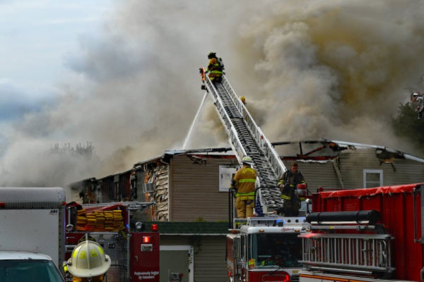 ¤������ά��֤��ѵ��������