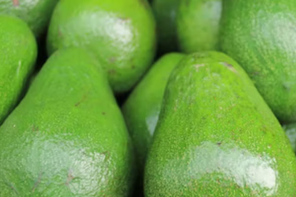 �ӱ�ʳƷ��ȫ����Ա��ѵ��γ�����_����Ǯ