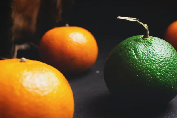 ���ʳƷ��ȫ����Ա��ѵ��γ�����_����Ǯ