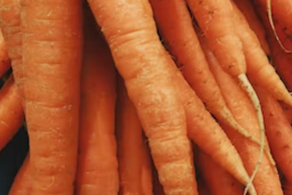 ����ʳƷ��ȫ����Ա��ѵ��γ�����_����Ǯ