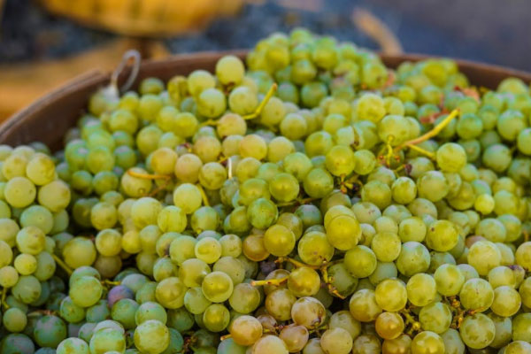 ����ʳƷ��ȫ����Ա��ѵ��γ�����_����Ǯ