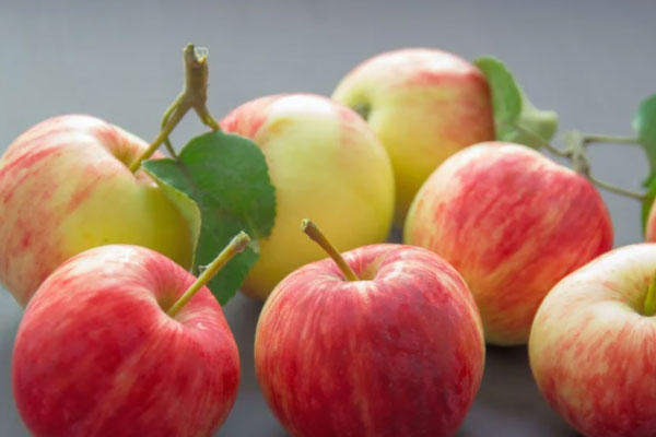 ����ʳƷ��ȫ����Ա��ѵ��γ�����_����Ǯ