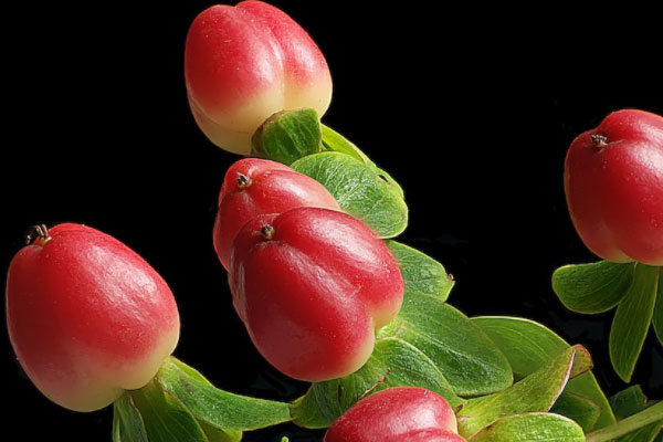 Ӫ��ʳƷ��ȫ����Ա��ѵ��γ�����_����Ǯ