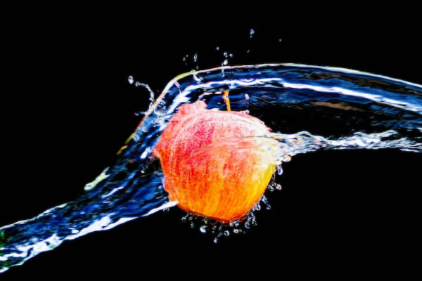 ����ʳƷ��ȫ����Ա��ѵ��γ�����_����Ǯ     