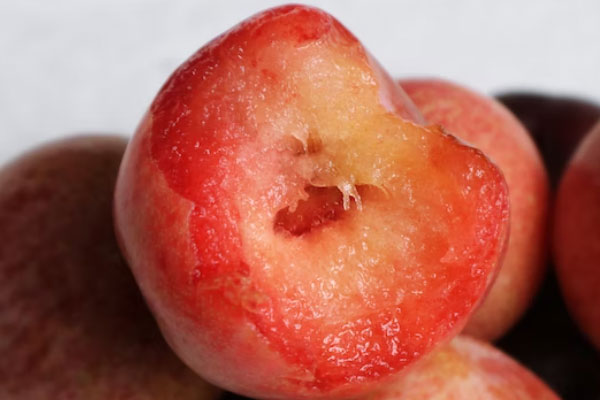 �Ͼ�ʳƷ��ȫ����Ա��ѵ��γ�����_����Ǯ