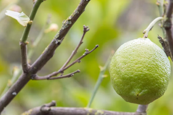 安徽食品安全管理员培训班课程内容_多少钱
