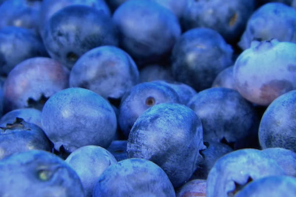 ��ʳƷ��ȫ����Ա��ѵ��γ�����_����Ǯ