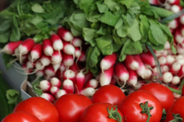 ̩��ʳƷ��ȫ����Ա��ѵ��γ�����_����Ǯ