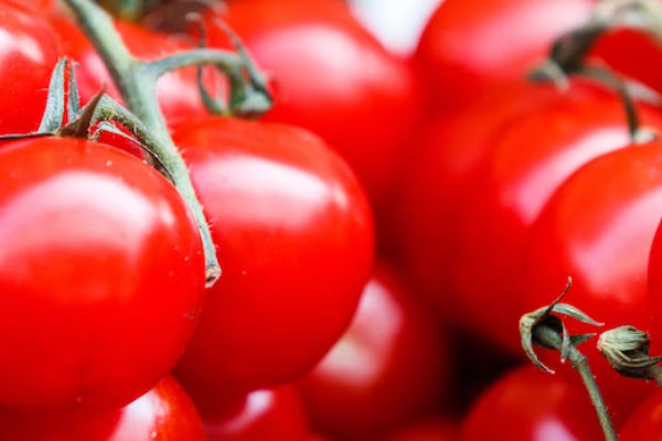 �γ�ʳƷ��ȫ����Ա��ѵ��γ�����_����Ǯ