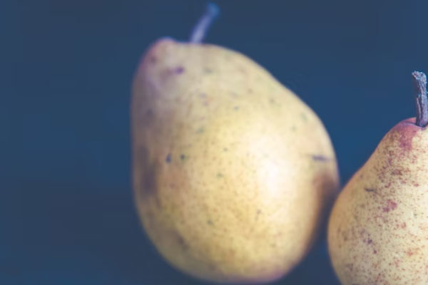 ��ǨʳƷ��ȫ����Ա��ѵ��γ�����_����Ǯ