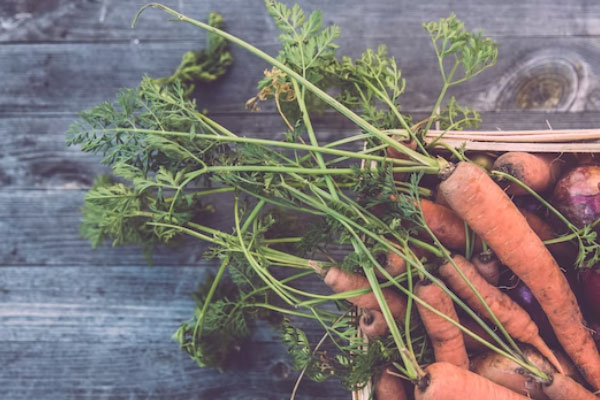 ����ʳƷ��ȫ����Ա��ѵ��γ�����_����Ǯ