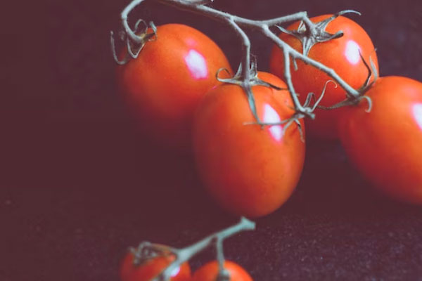 ��ͨʳƷ��ȫ����Ա��ѵ��γ�����_����Ǯ