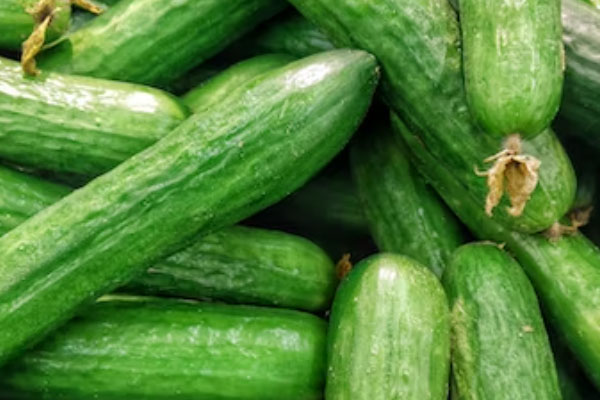 淮安食品安全管理员培训班课程内容_多少钱