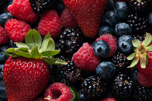 连云港食品安全管理员培训班课程内容_多少钱