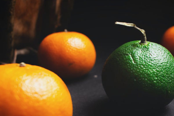 ��֦��ʳƷ��ȫ����Ա��ѵ��γ�����_����Ǯ