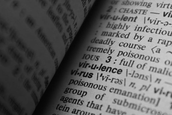 ������˼��ѧ��ѵ���ַ