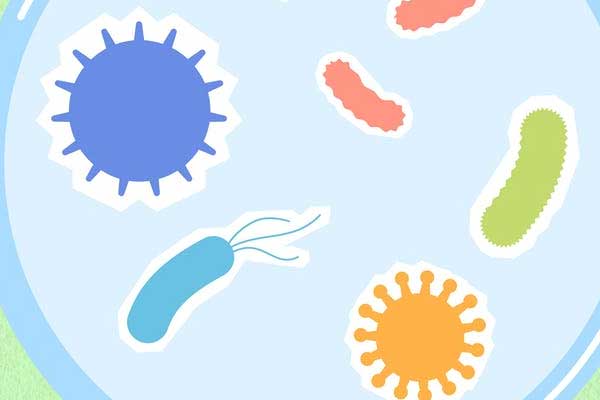 ˷����ְ������ѵ��������Щ_�ļҺ�