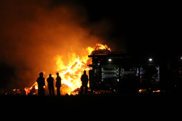 ����һ����������ʦ������ѵ��������